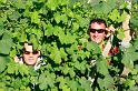 Piemont 2009  387